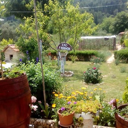 Apartamento Apartman Rosa Skradin Exterior foto
